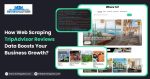 scrape tripadvisor reviews
