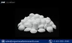 Dimethyl Terephthalate Manufacturing Plant Project Report
