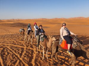 Camel riding in the Sahara Desert 