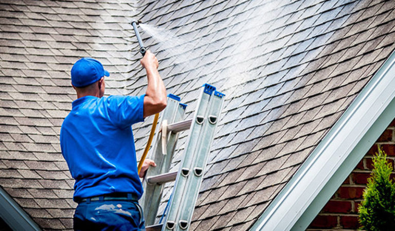 Roof Washing Service