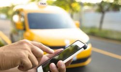 geelong taxi