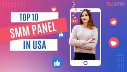 Top-10-SMM-Panel-in-USA