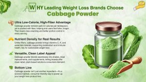 Cabbage powder delivers just 2.2 calories per tablespoon, yet is packed with fiber—helping end users feel fuller, longer. That means less snacking and better portion control in every serving