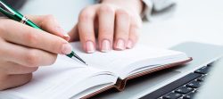 Essay writing Help