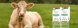 Expanding veterinary franchise opportunities in Arunachal Pradesh