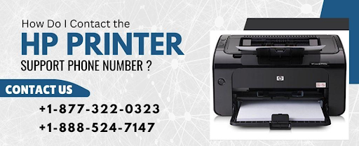 Hp Printer Support
