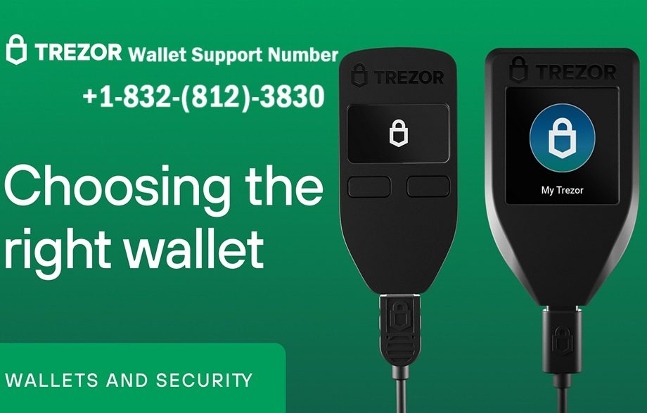 Ways to Reach Trezor Wallet Tech Support By: Phone, Email, and Chat Care Options Explained