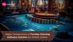 Turnkey iGaming Software Solution