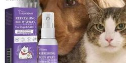 The good news is that pet cleaning doesn’t have to involve harsh chemicals. With eco-friendly solutions, you can maintain a spotless home without putting your pet at risk.