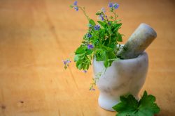 best acupuncture in melbourne