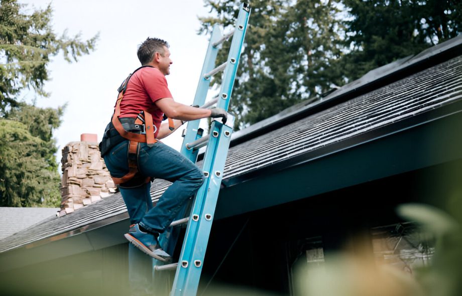 flat roofs Teddington