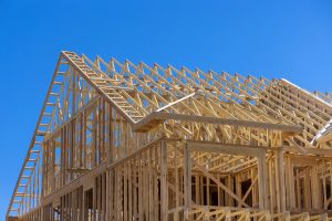 Construction Contractor