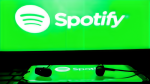 buy spotify plays