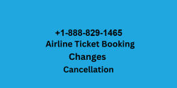 United Airline Customer service