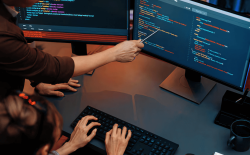 bespoke business software development