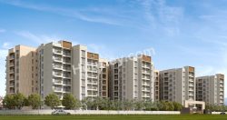 Brigade Orchards Ebony Devanahalli