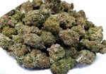 Buy Bulk Weed Online