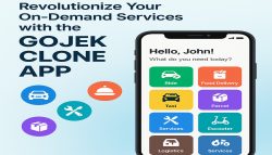 Revolutionize Your On-Demand Services with the Gojek Clone App