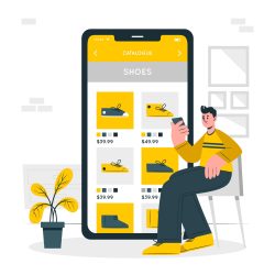 Web development