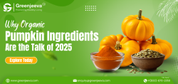 Image promoting organic pumpkin ingredients with pumpkins, pumpkin seeds, and spice powder, highlighting their popularity for 2025.