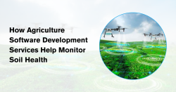 How Agriculture Software Development Services Help Monitor Soil Health