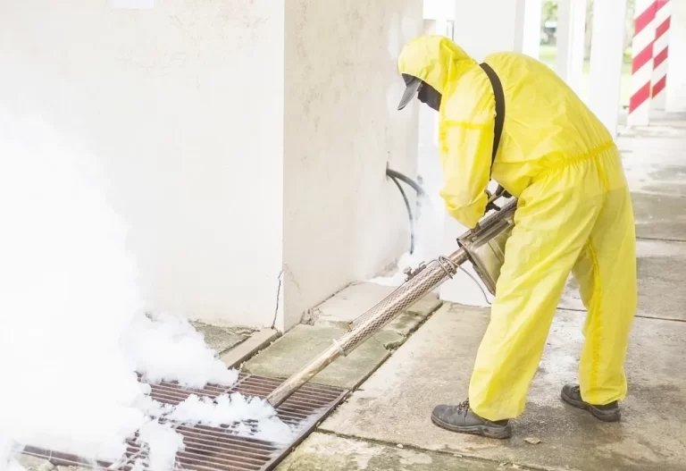 Pest Control Services