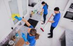 Professional House Cleaning-Services