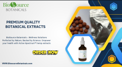 Premium quality botanical extracts