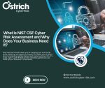 Cyber security services