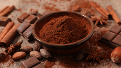 cocoa and chocolate market