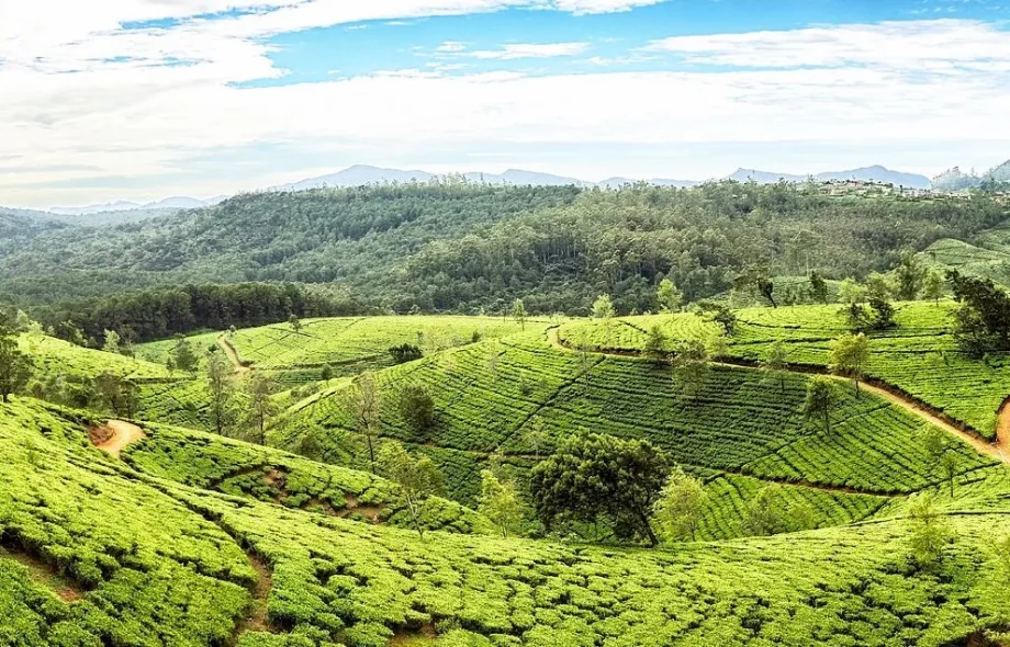 sri lanka