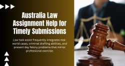 Law Assignment Help