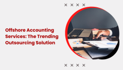 offshore accounting services professionals managing international financial data