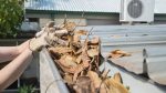 Gutter Cleaning in Tauranga