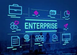 Enterprise software development