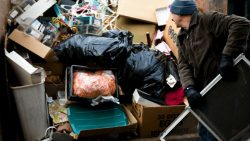 junk removal