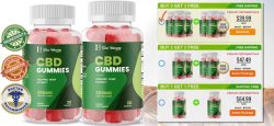 How Bliss Harmony CBD Gummies Support a Natural Mind-Body Balance