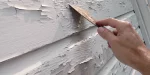 lead paint removal Los Angeles CA