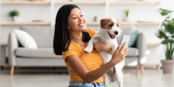 online veterinary medicine in India